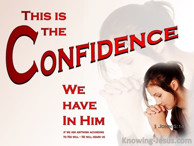 1 John 5:14